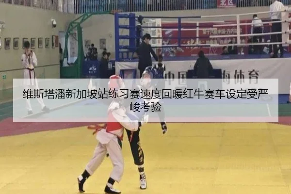 维斯塔潘新加坡站练习赛速度回暖红牛赛车设定受严峻考验